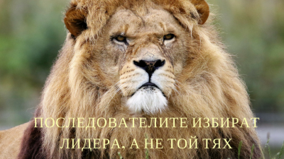 Могат ли наистина да бъдат "изграждани" ефективни лидери?